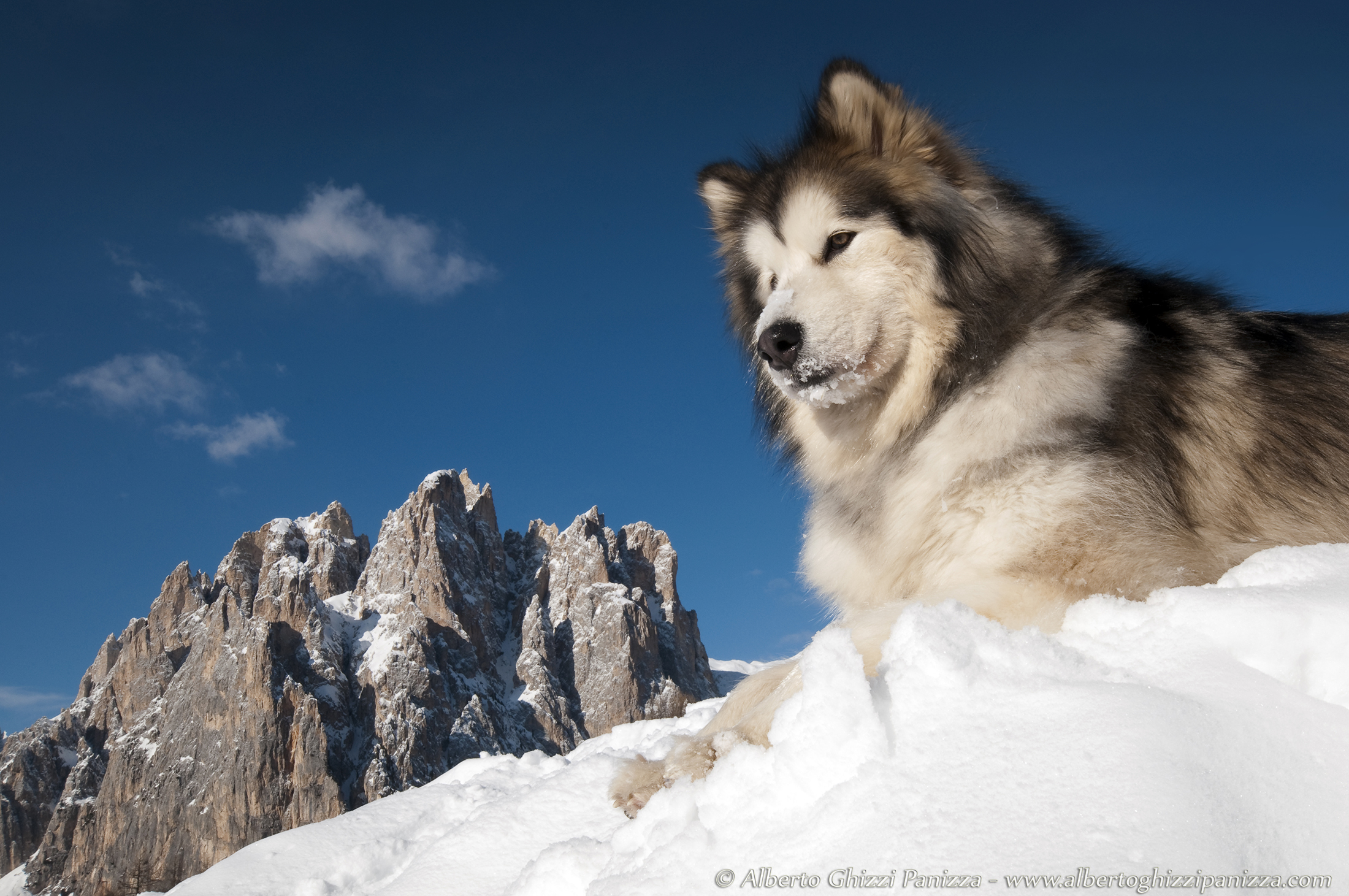 The Queen of the Mountain