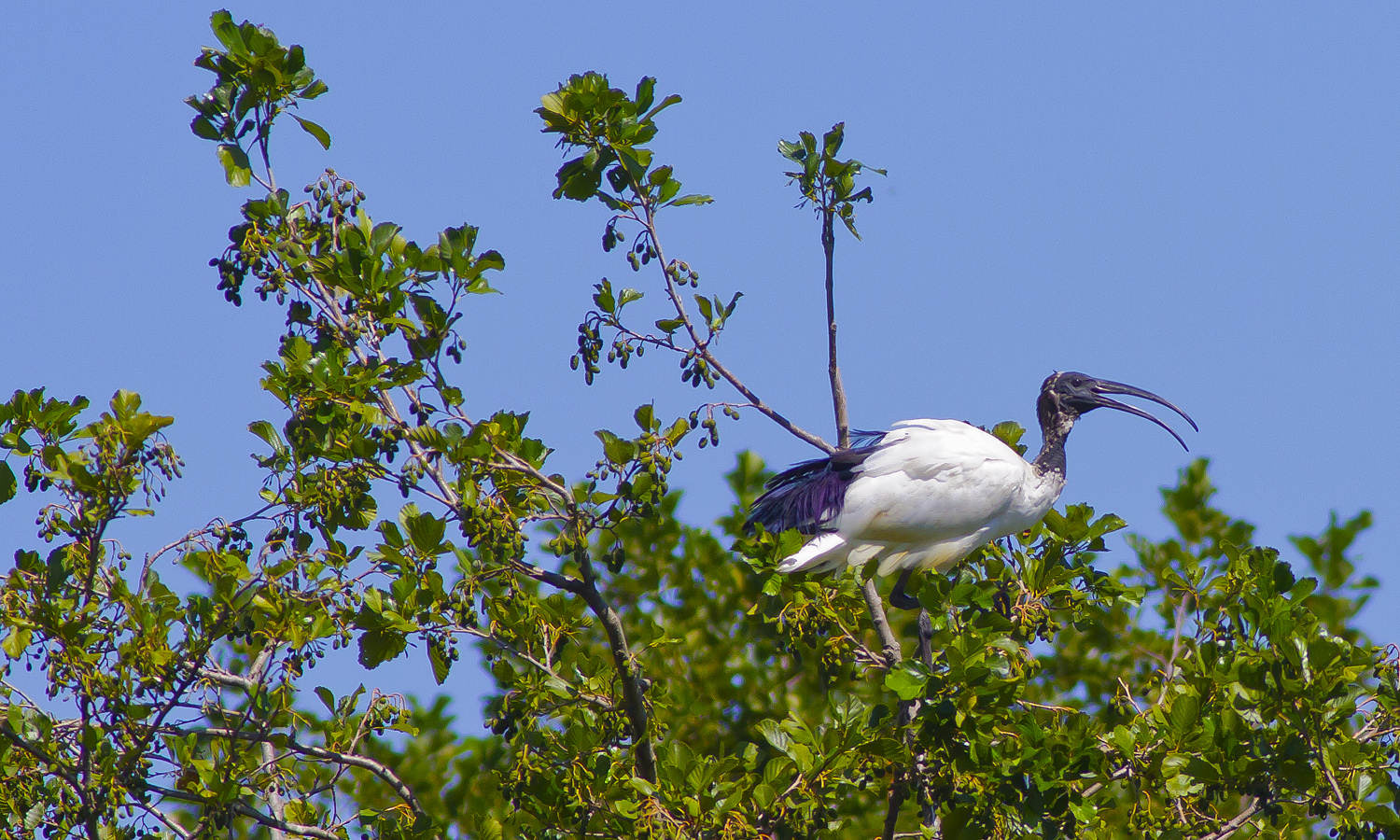 Sosta nel lungo volo