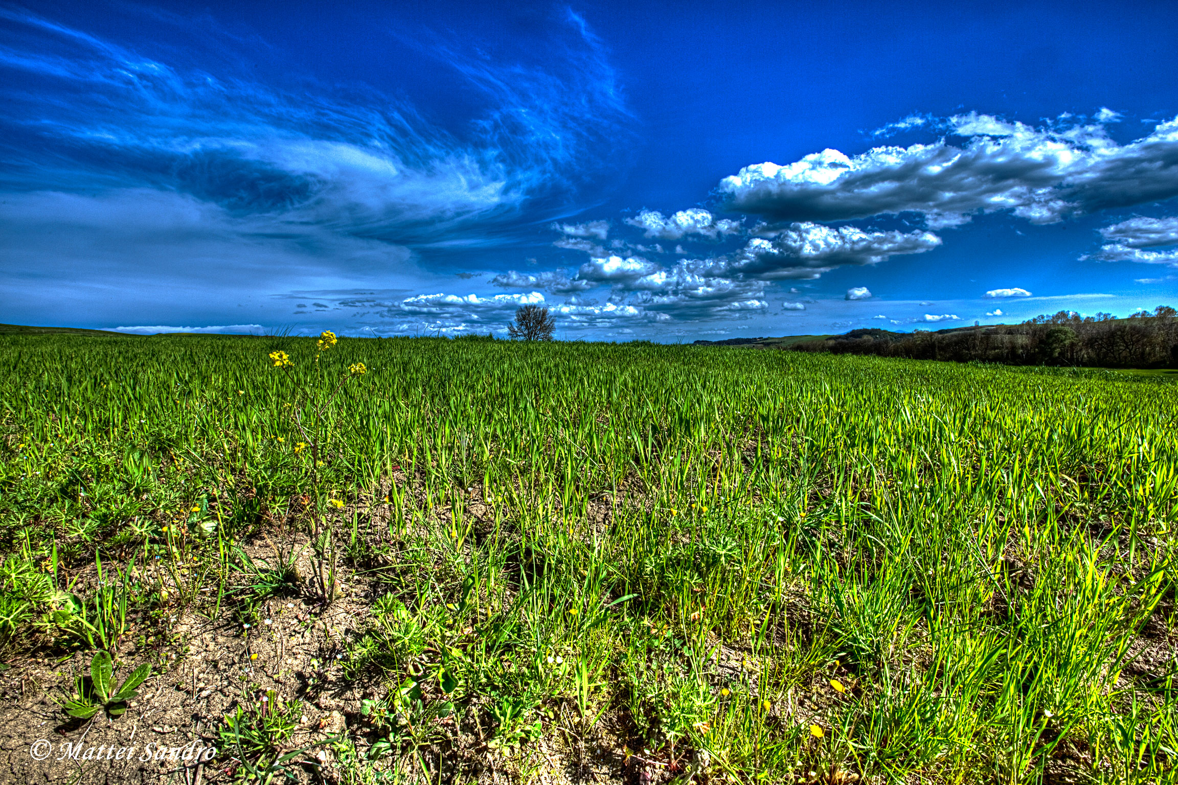 la profondità del cielo