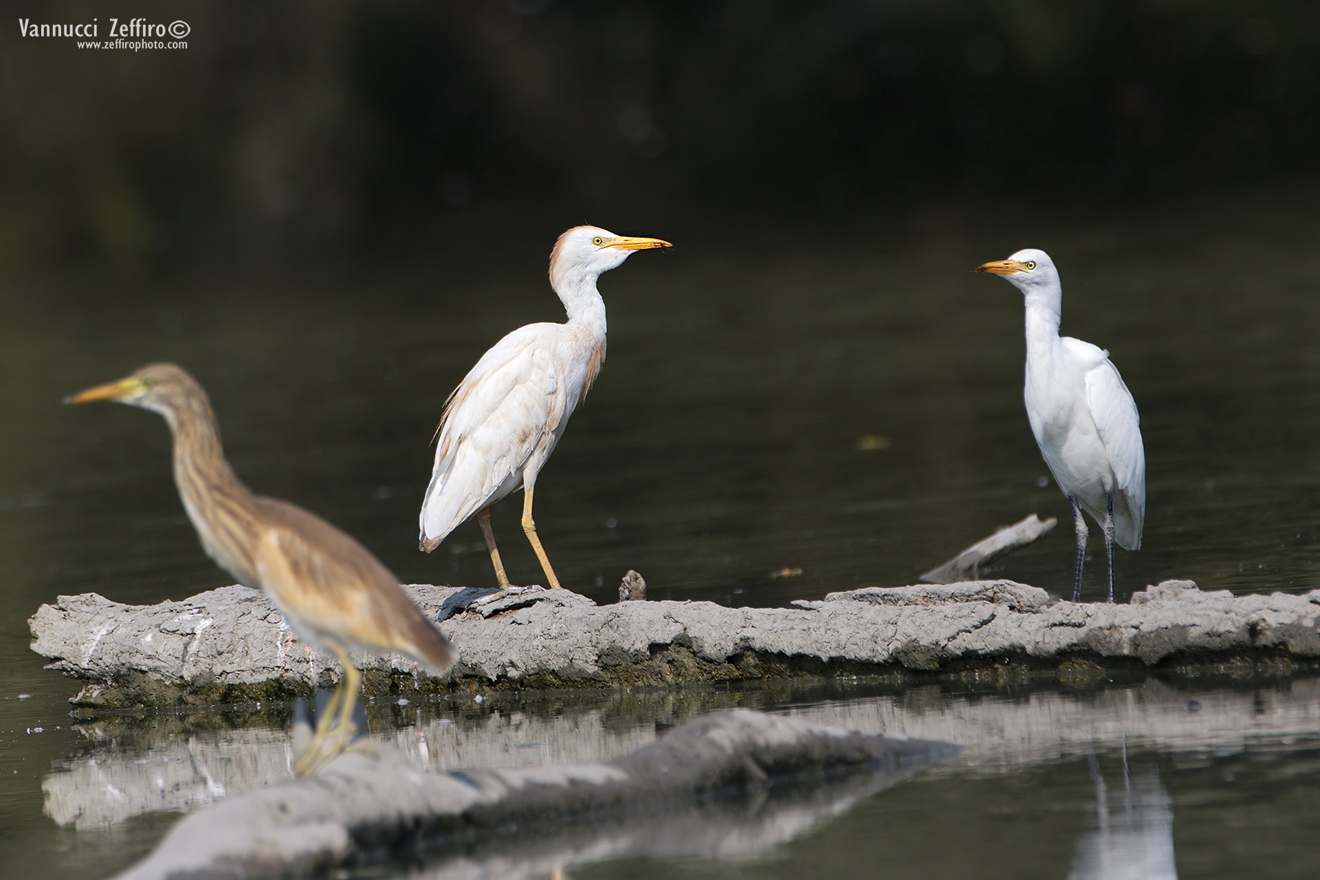 But we should not see each other anymore??