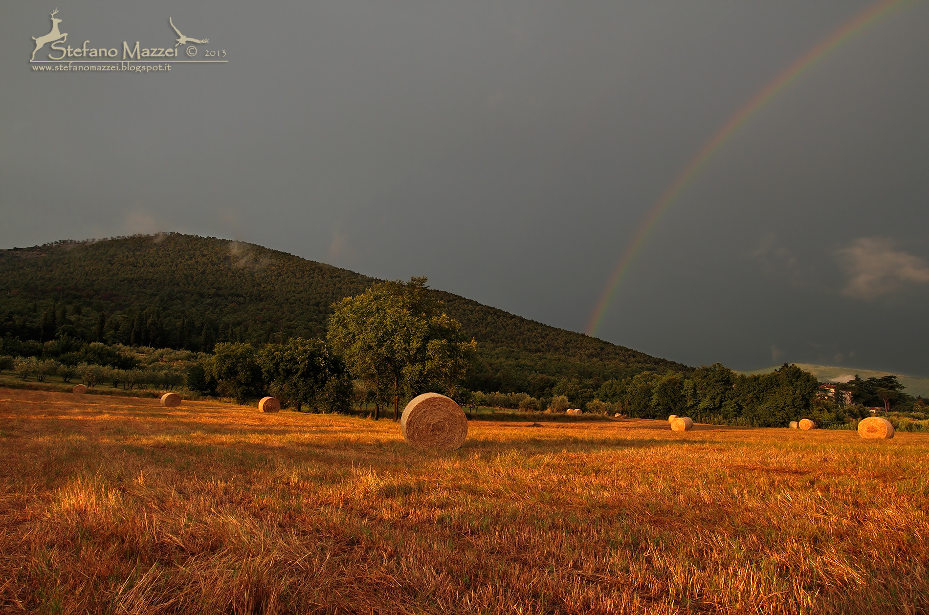 Temporali estivi ...