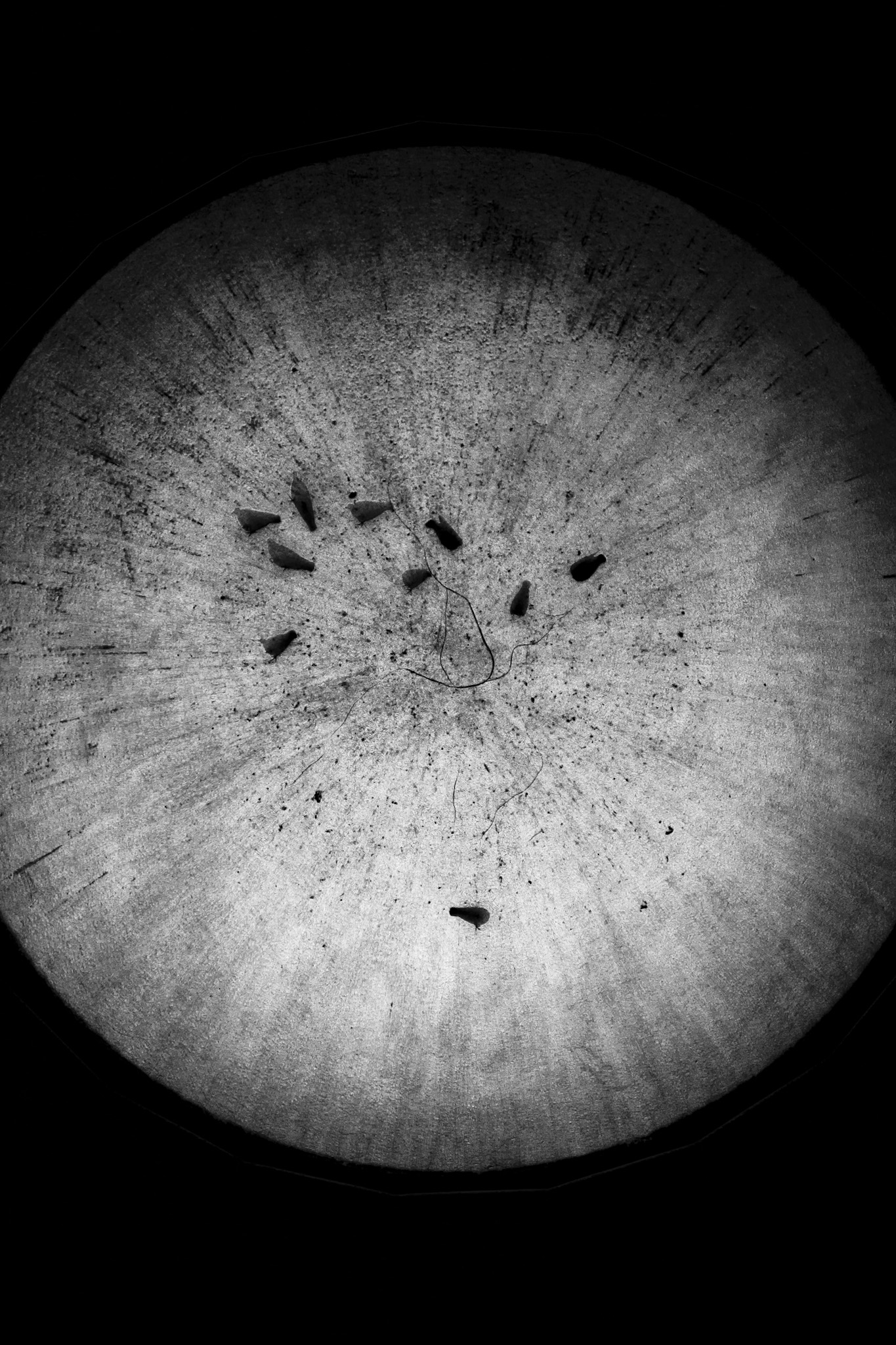 Dome Church of San Donato (I)