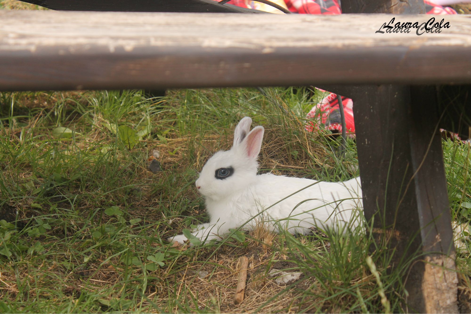 small meetings on Sunday