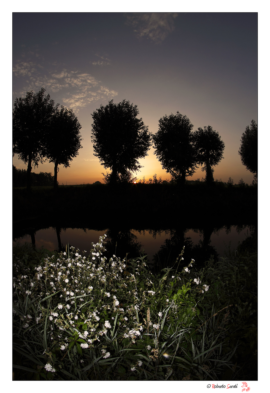 Sunrise in the countryside