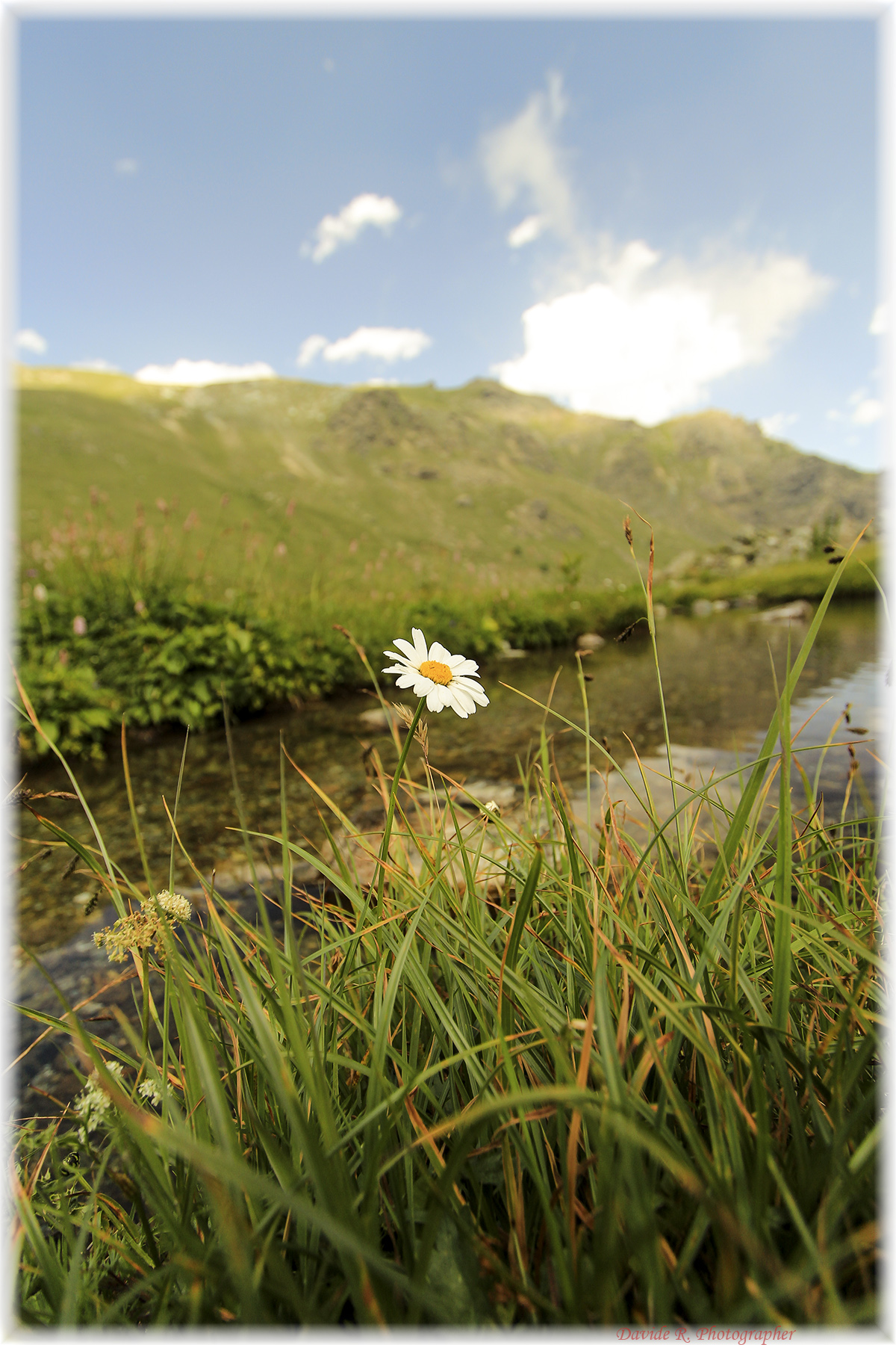 Kissed by the sun, bathed by the river!