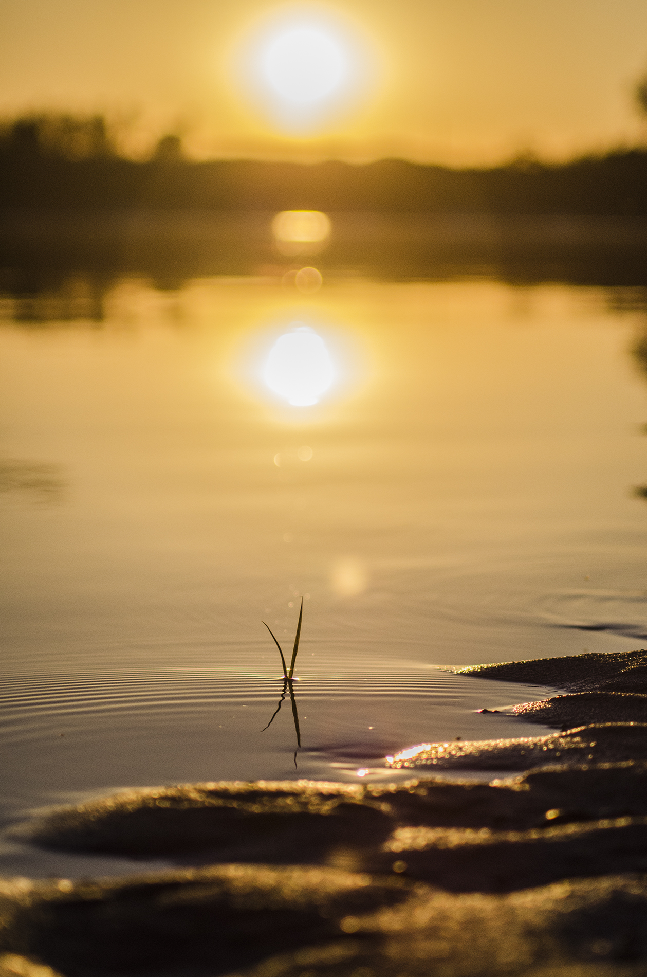 terra, acqua e fuoco = Vita
