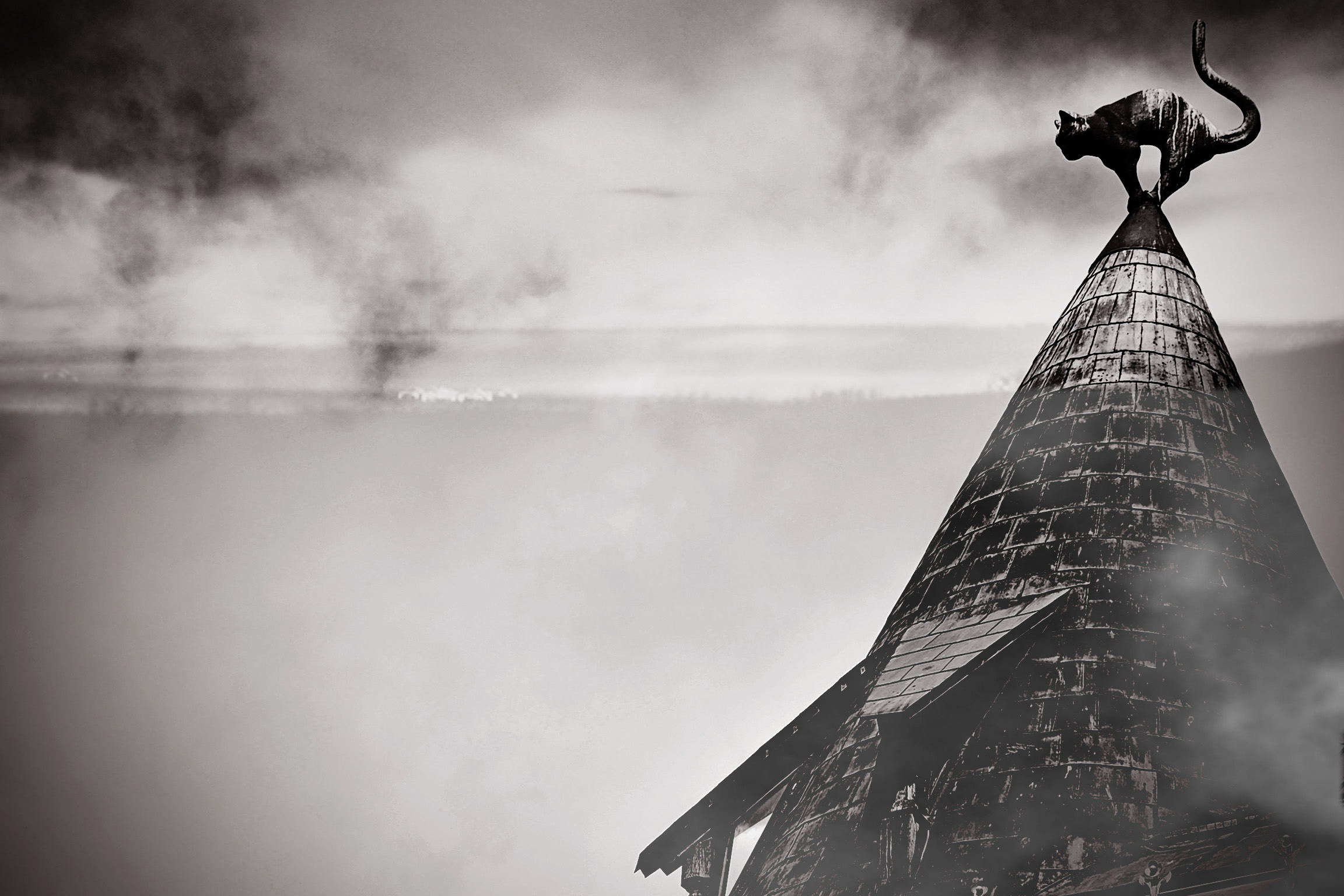 la casa del gatto nero // riga, lettonia. 2012