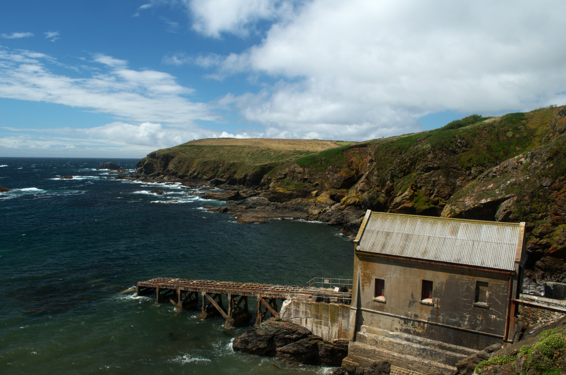 Lizard Point