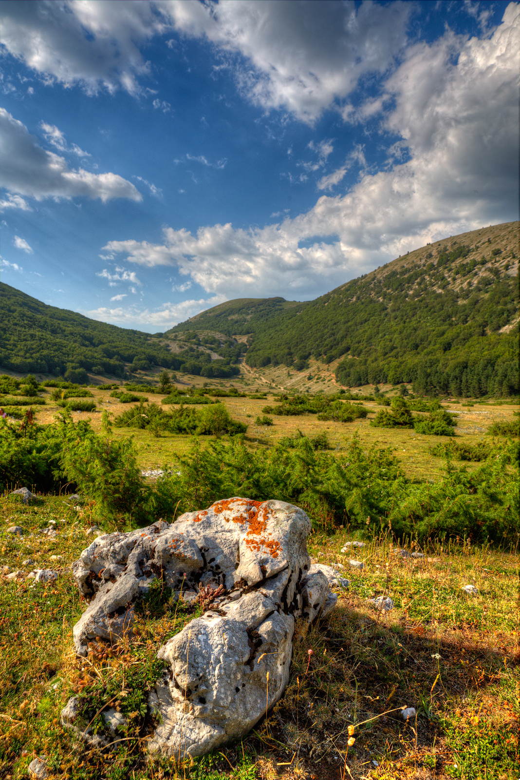 A passeggio a monte Magnola ( hdr )