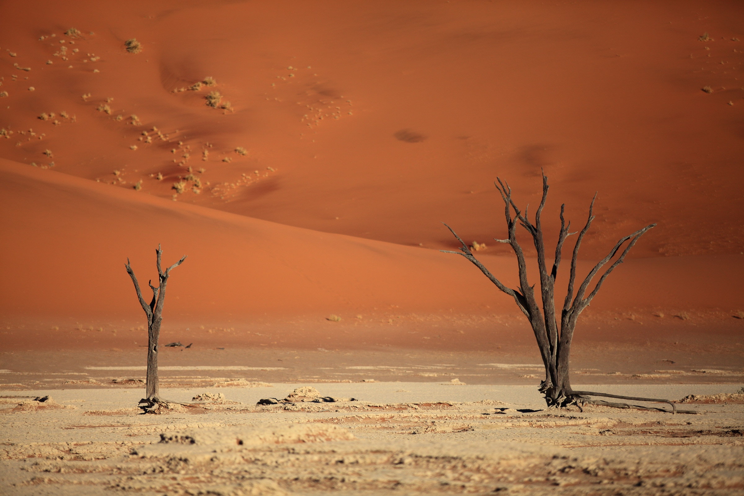 Deadvlei tra le dune