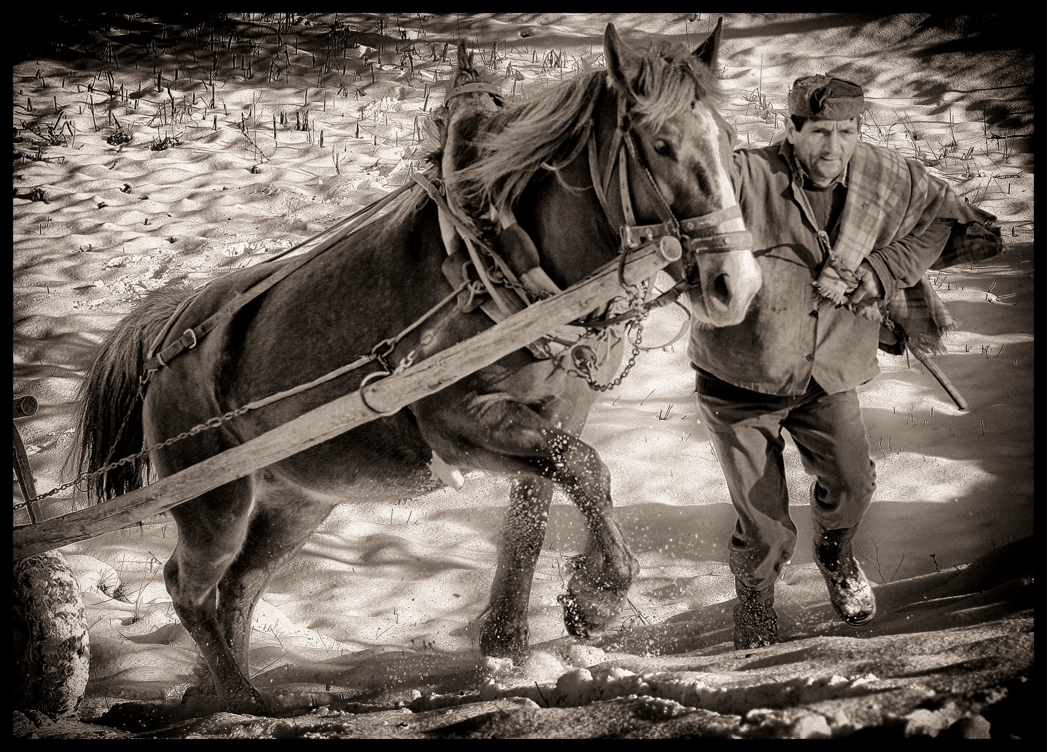 Insieme nel bene e nel male