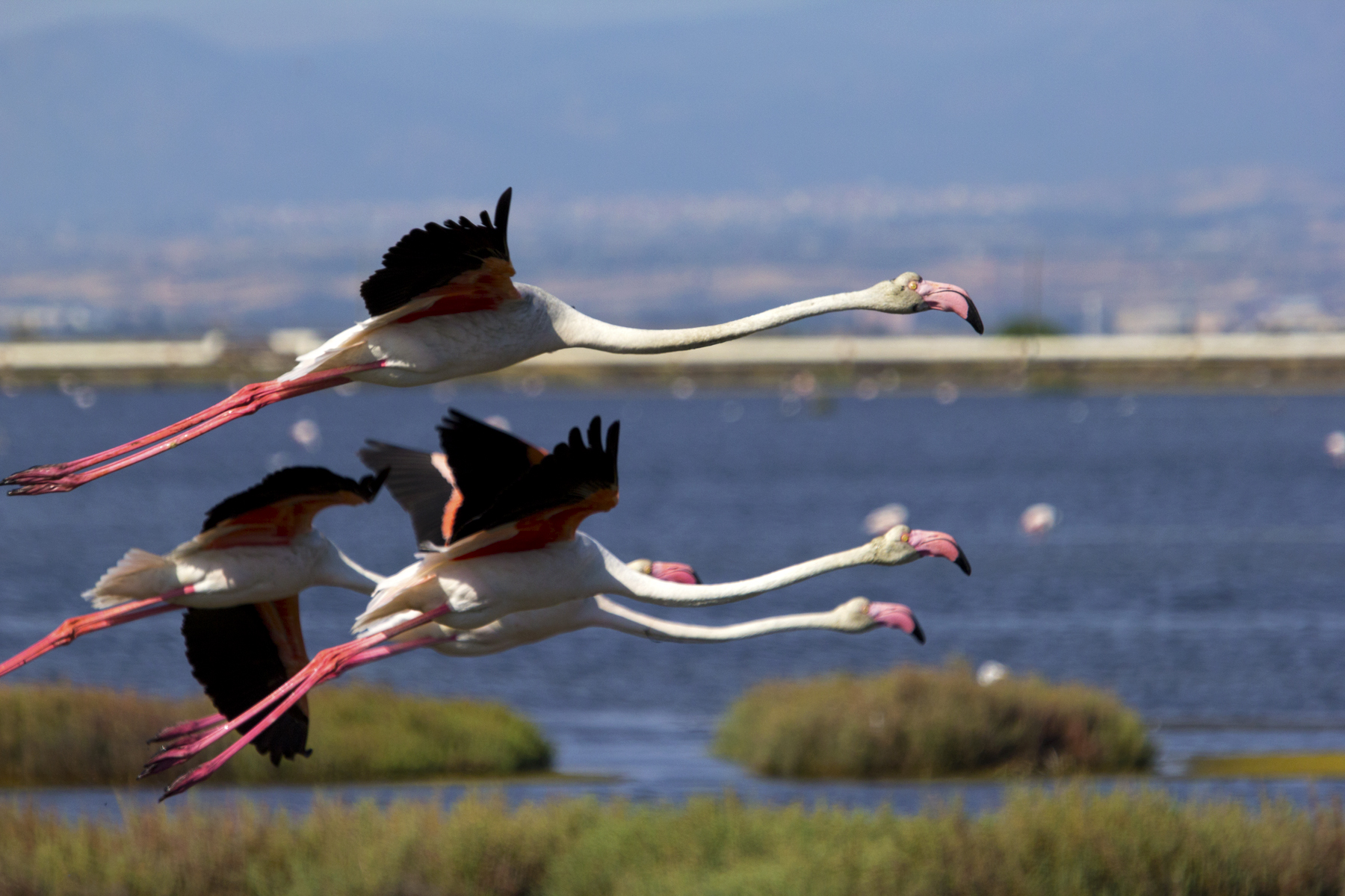 decollo sincronizzato