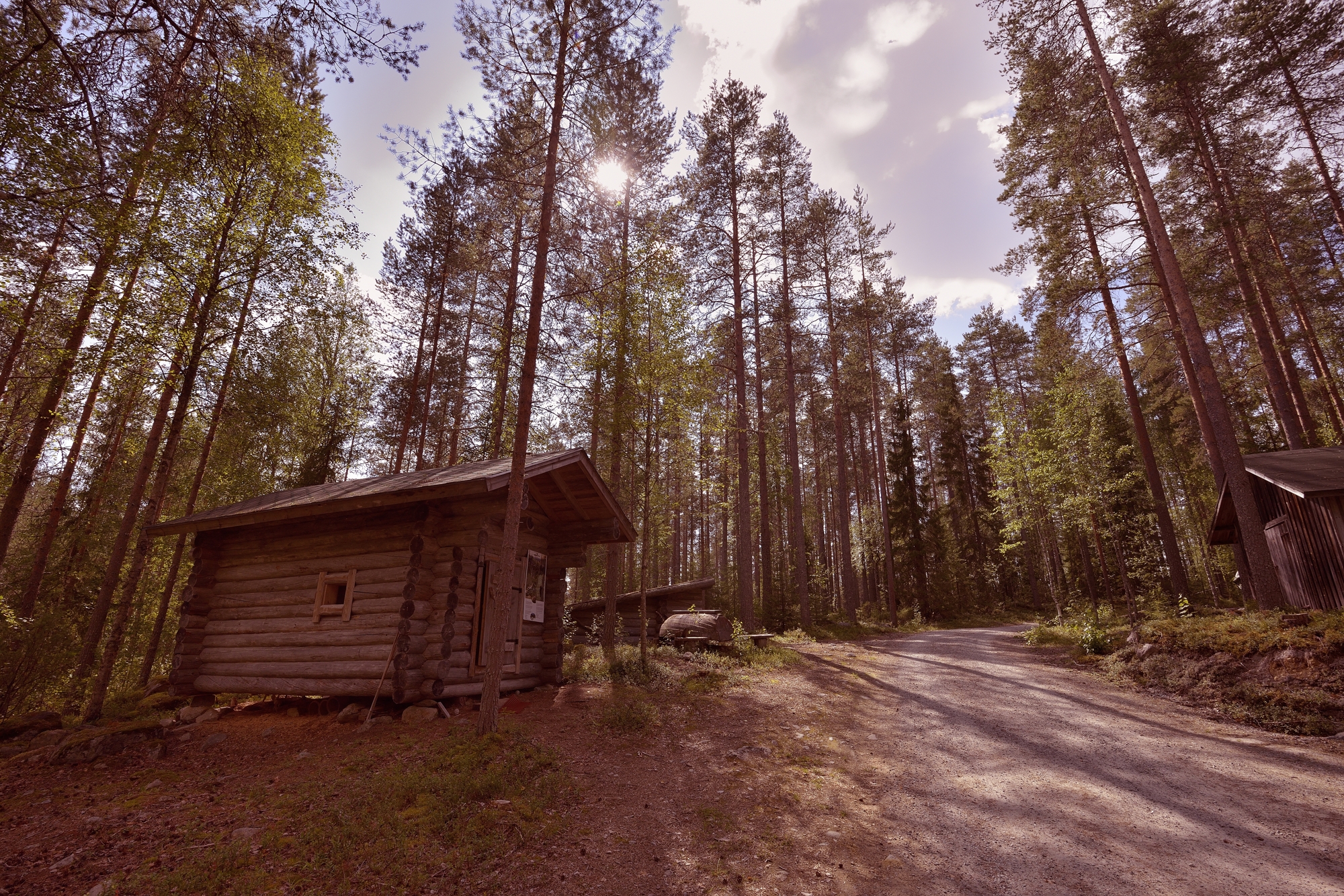 casetta nella foresta