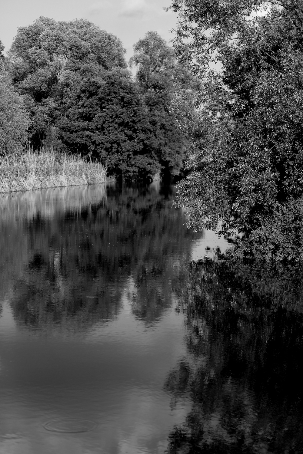 Fiume Olava in Polonia