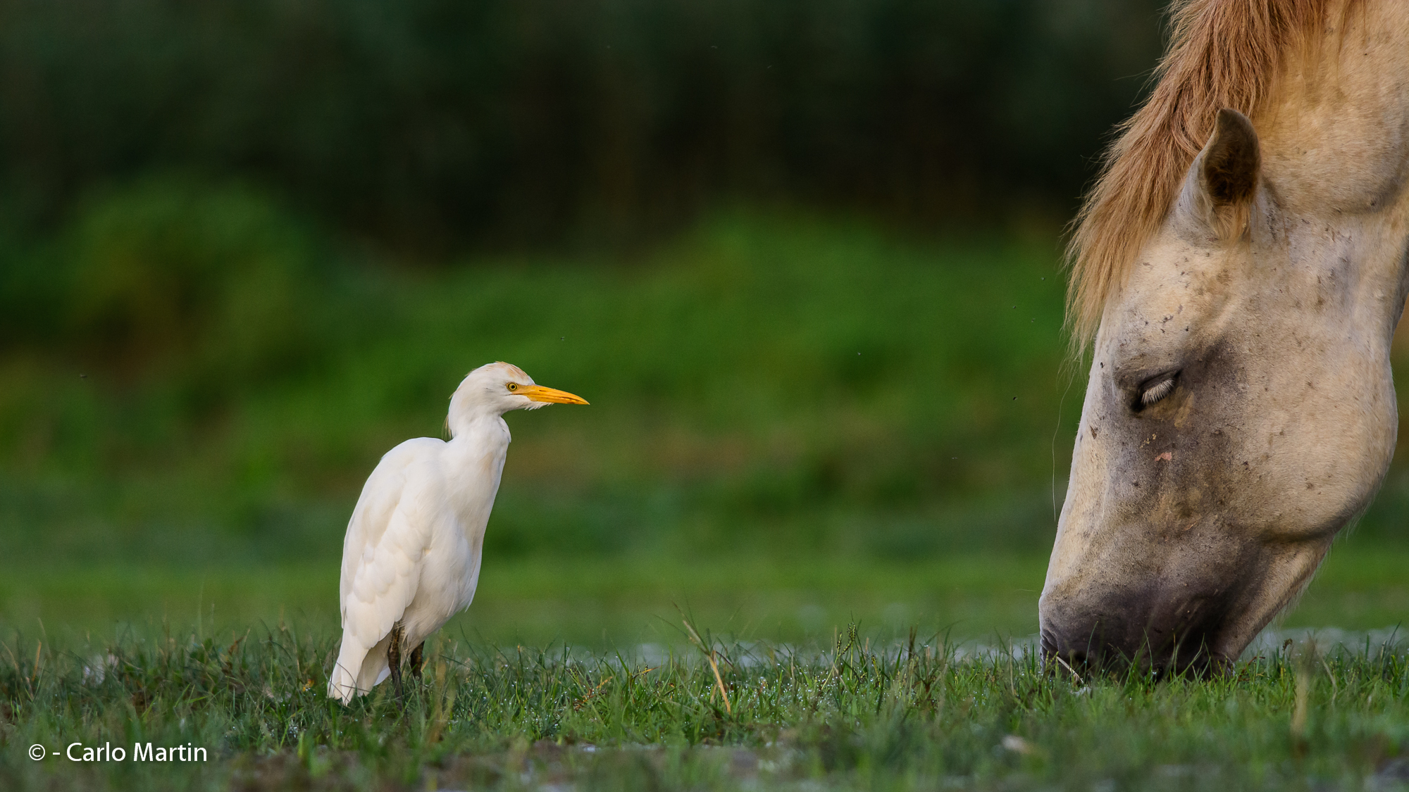 Sure of what you're eating?