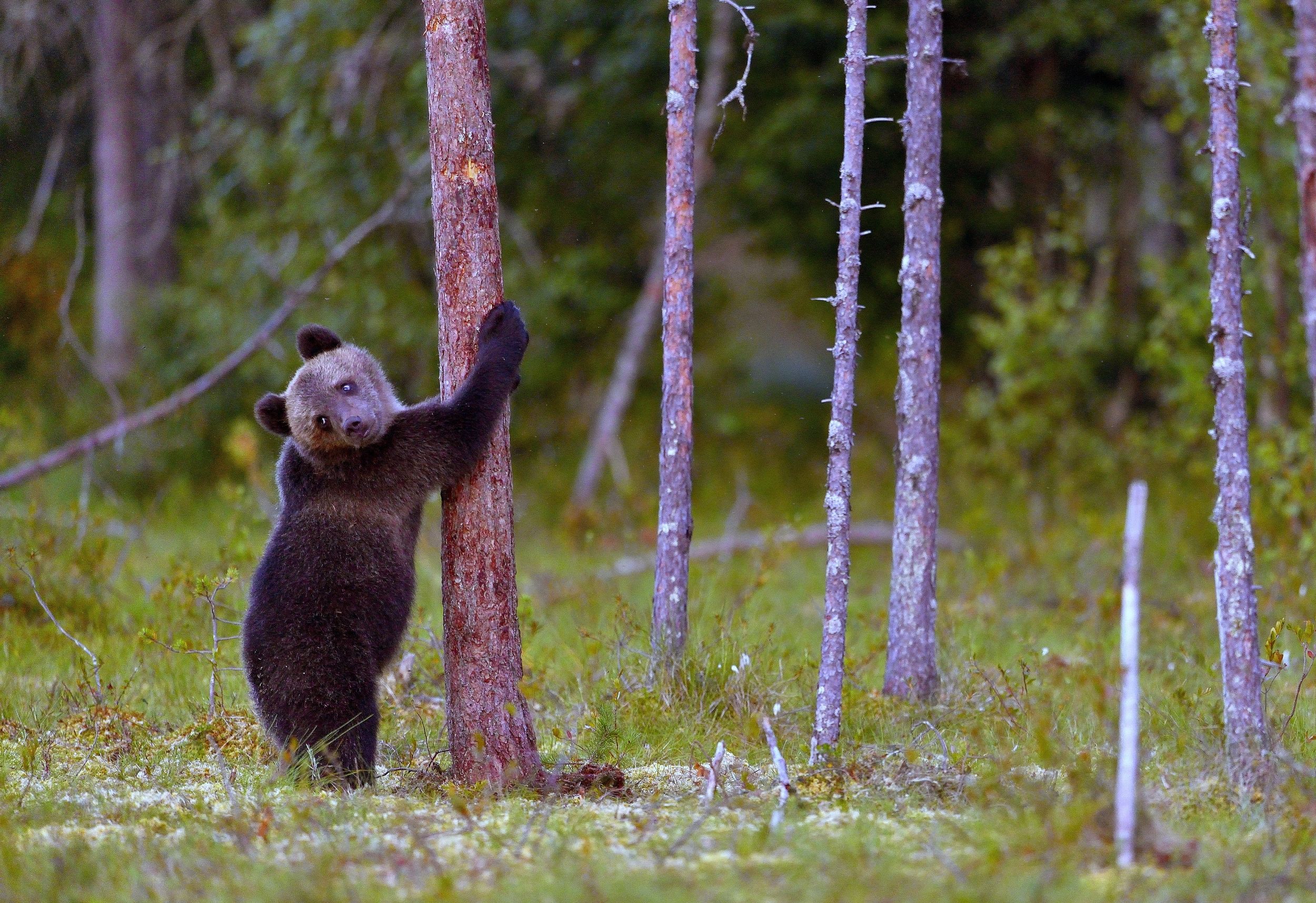 non ci riesco a salire...tenerezza