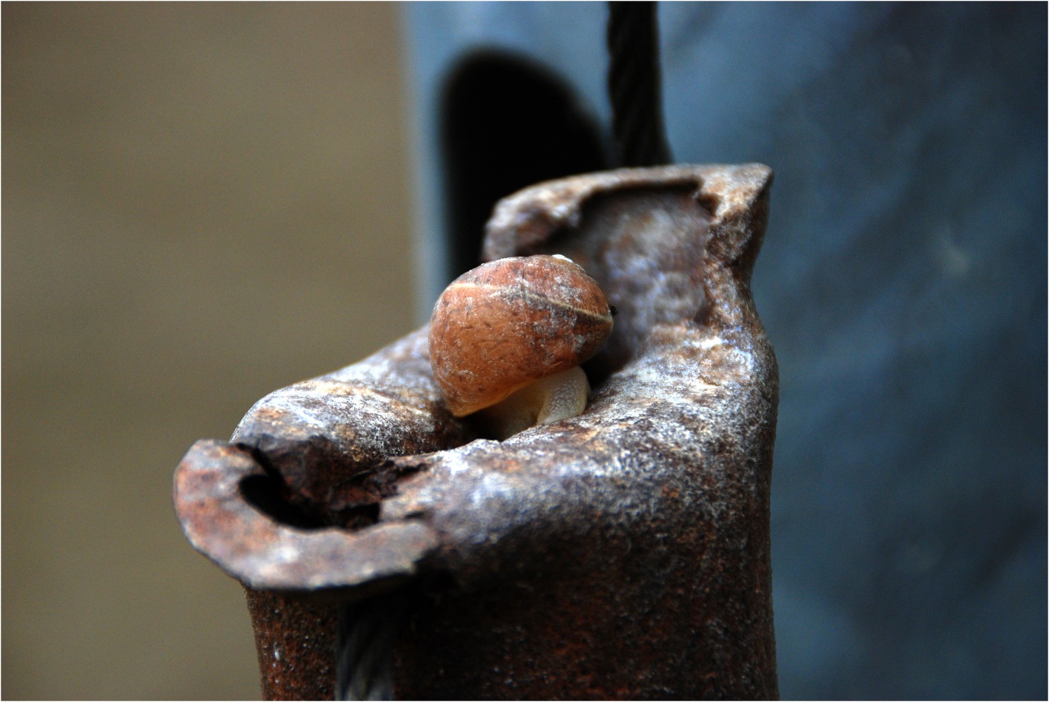 Construction of a house