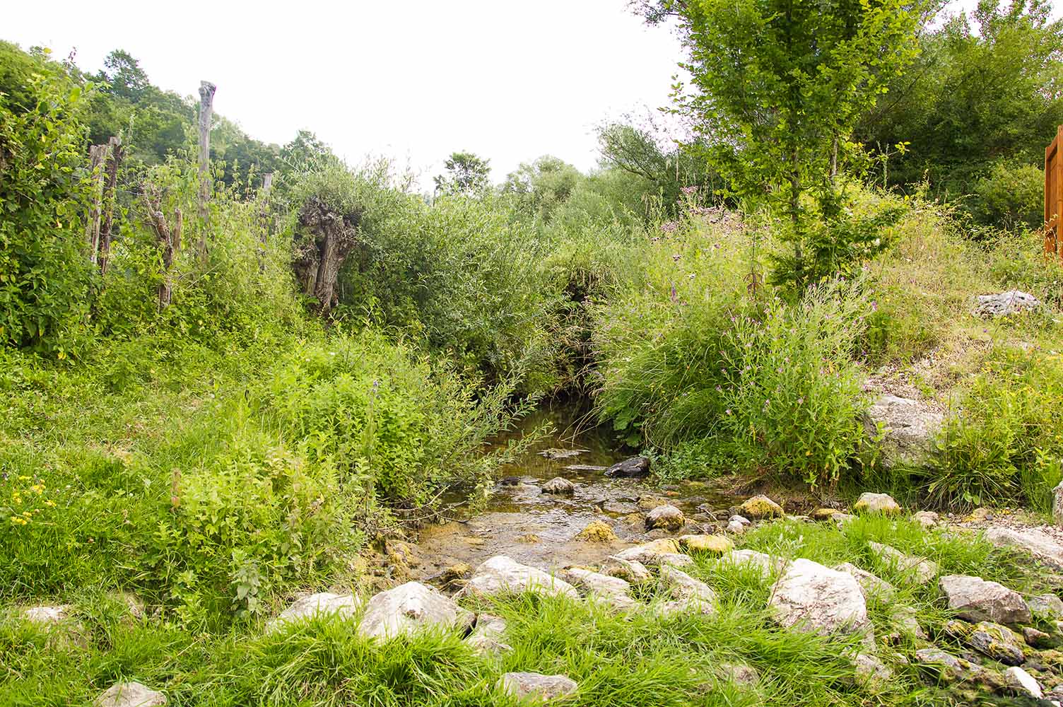 Ruscello di Tagliacozzo