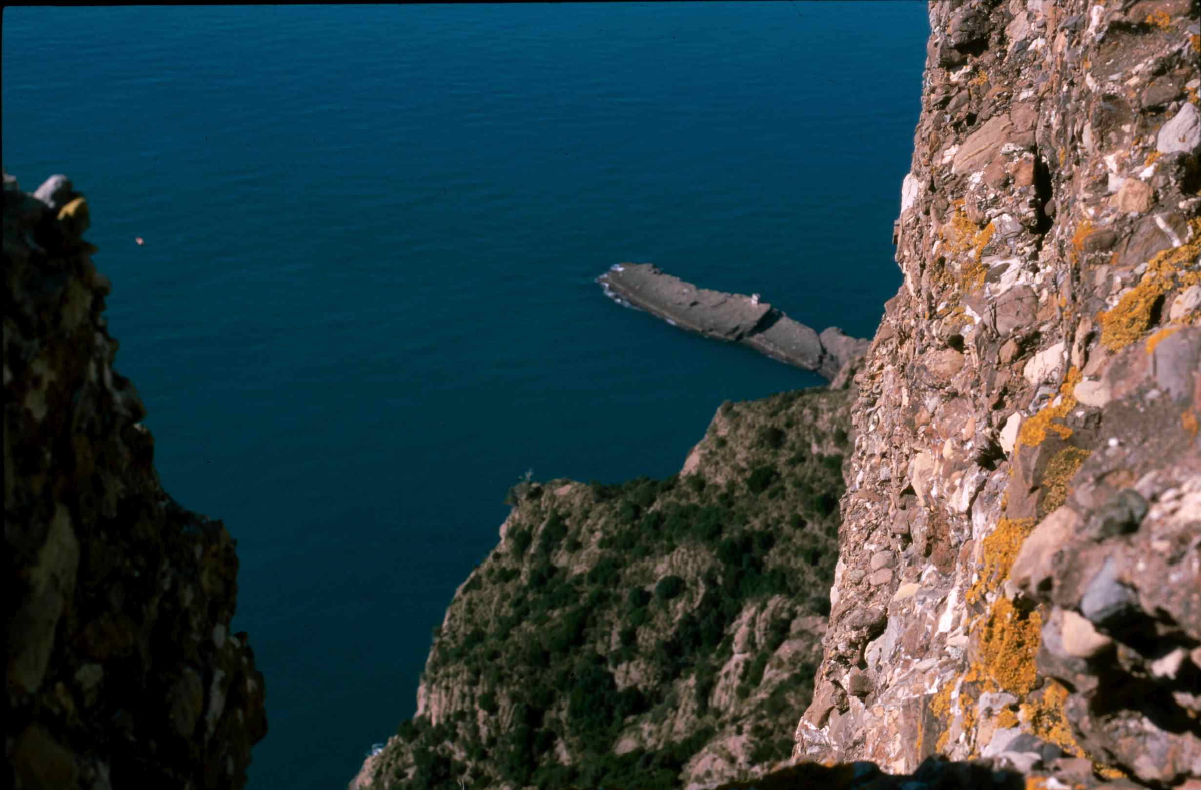punta chiappa (camogli)