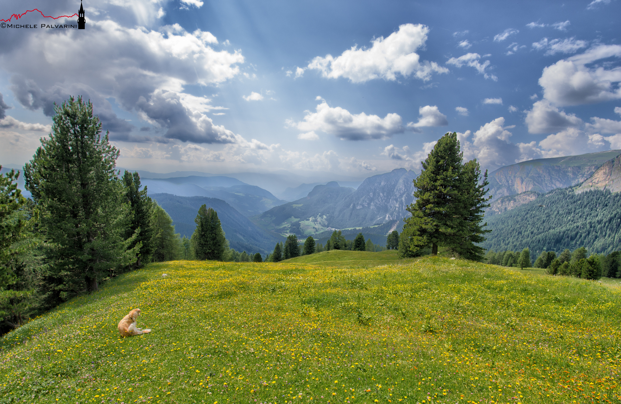 Vista dal gruppo del catinaccio