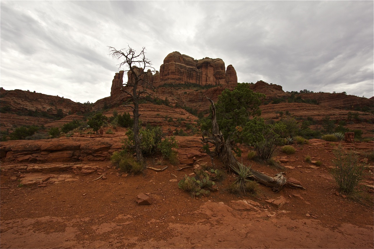 Cathedral Rock - Sedona, AZ