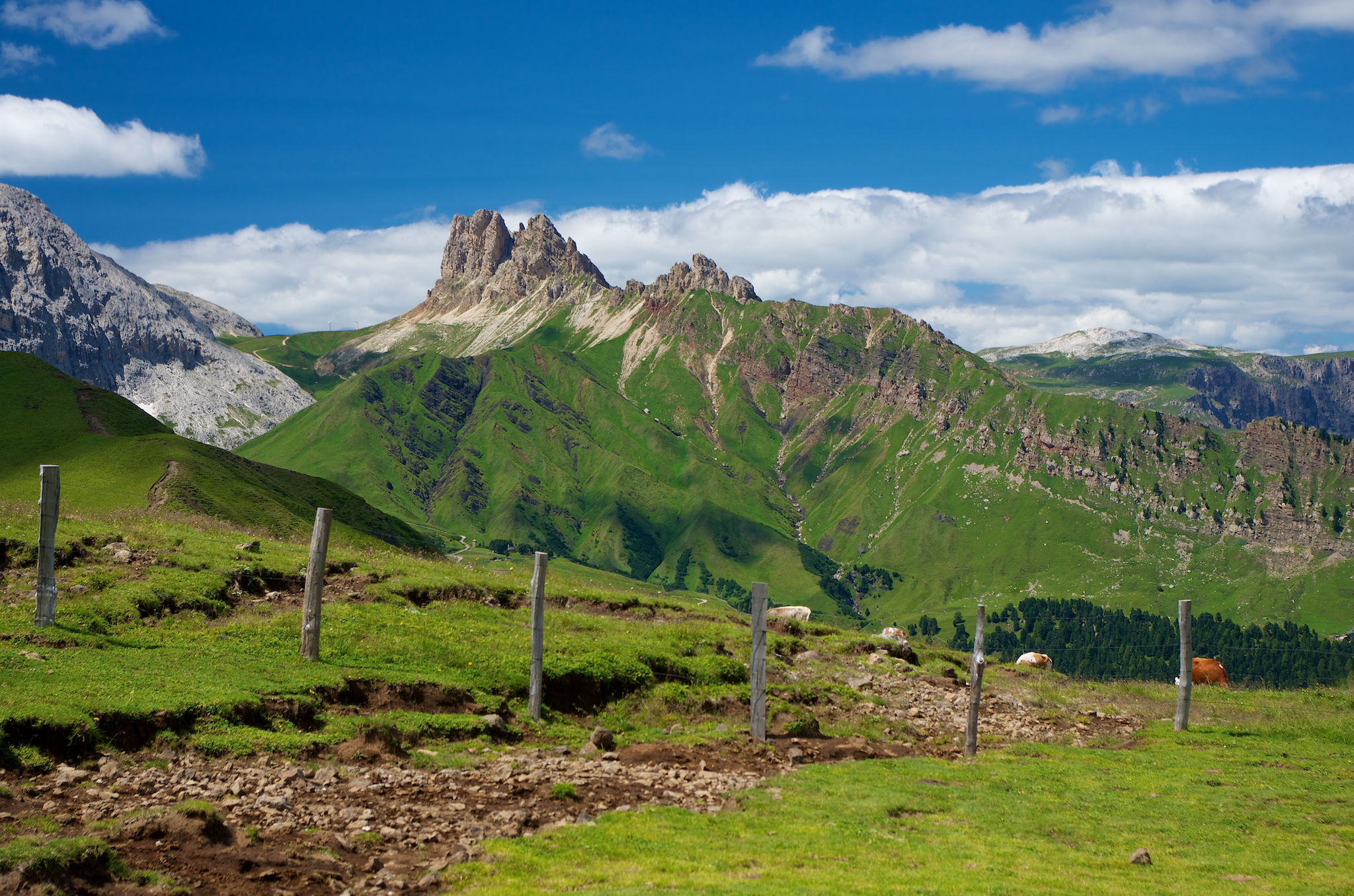 Denti di Terra Rossa