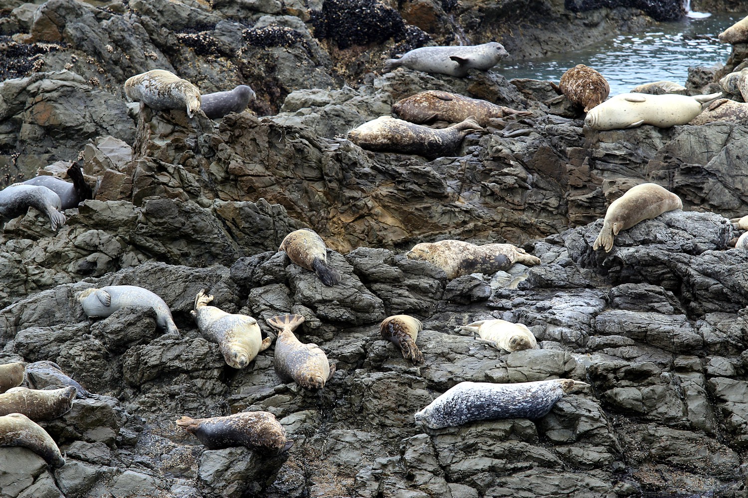 Relaxing in comfort, redefined 2