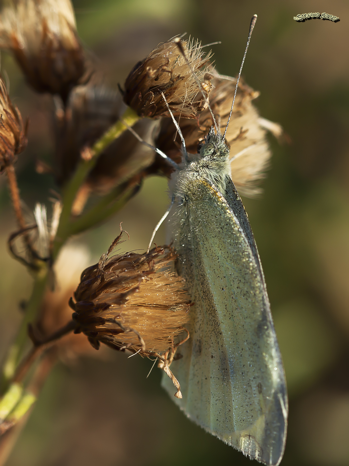 Early in the morning