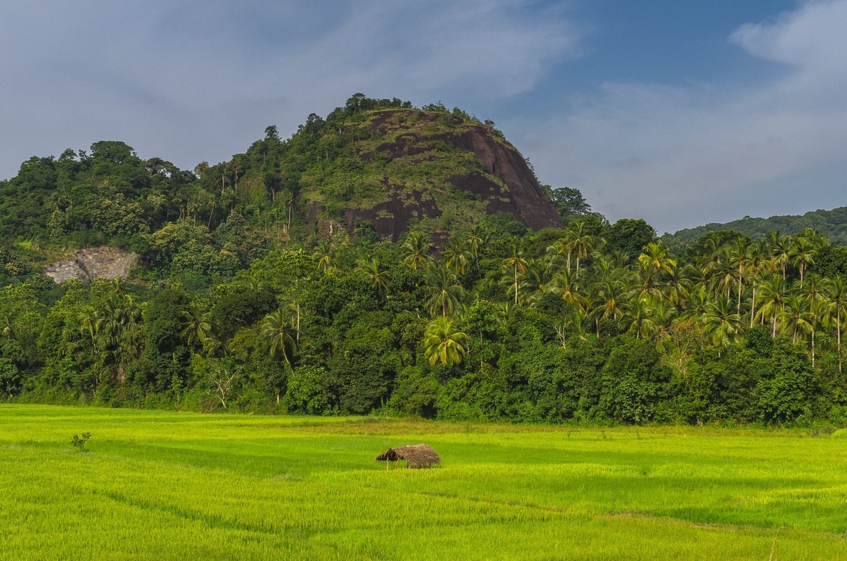 Sri Lanka - In treno a Kandy