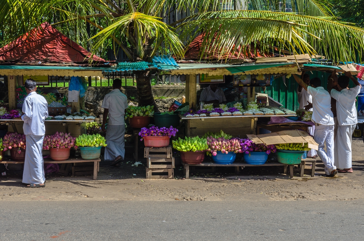 Sri Lanka - Kandy - Mercato Fiori