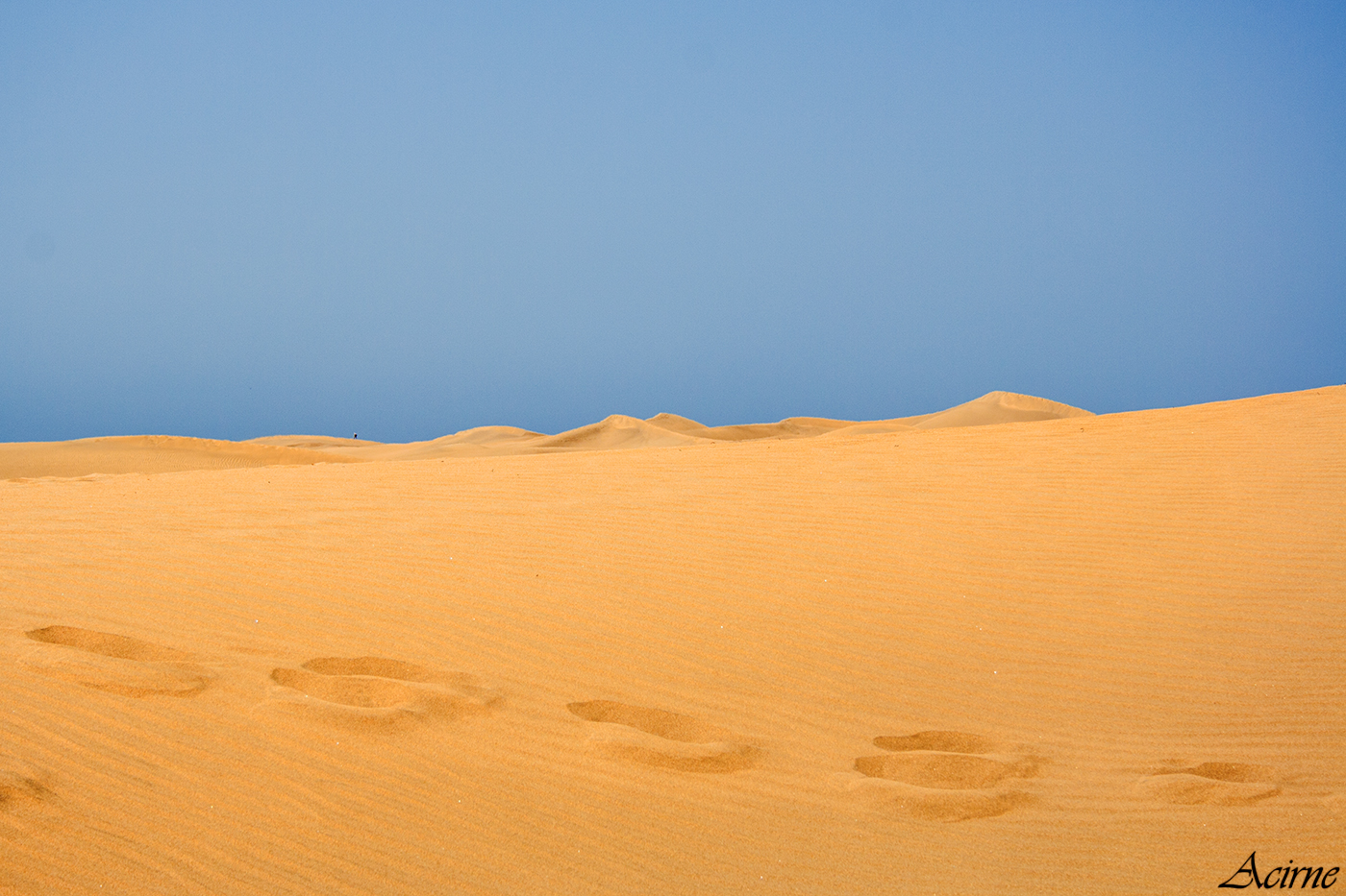 Dune Maspalomas