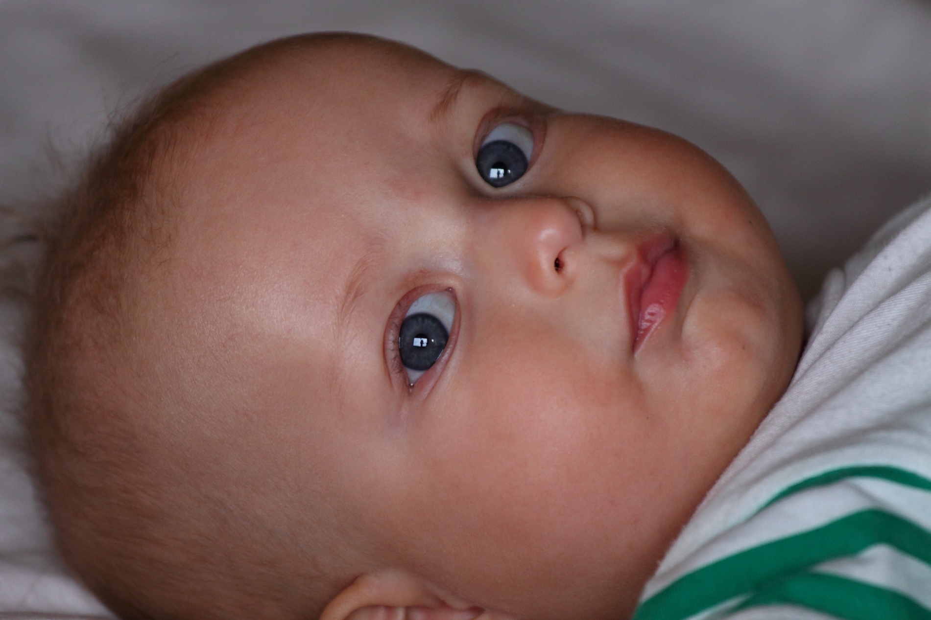 New Eyes on the world