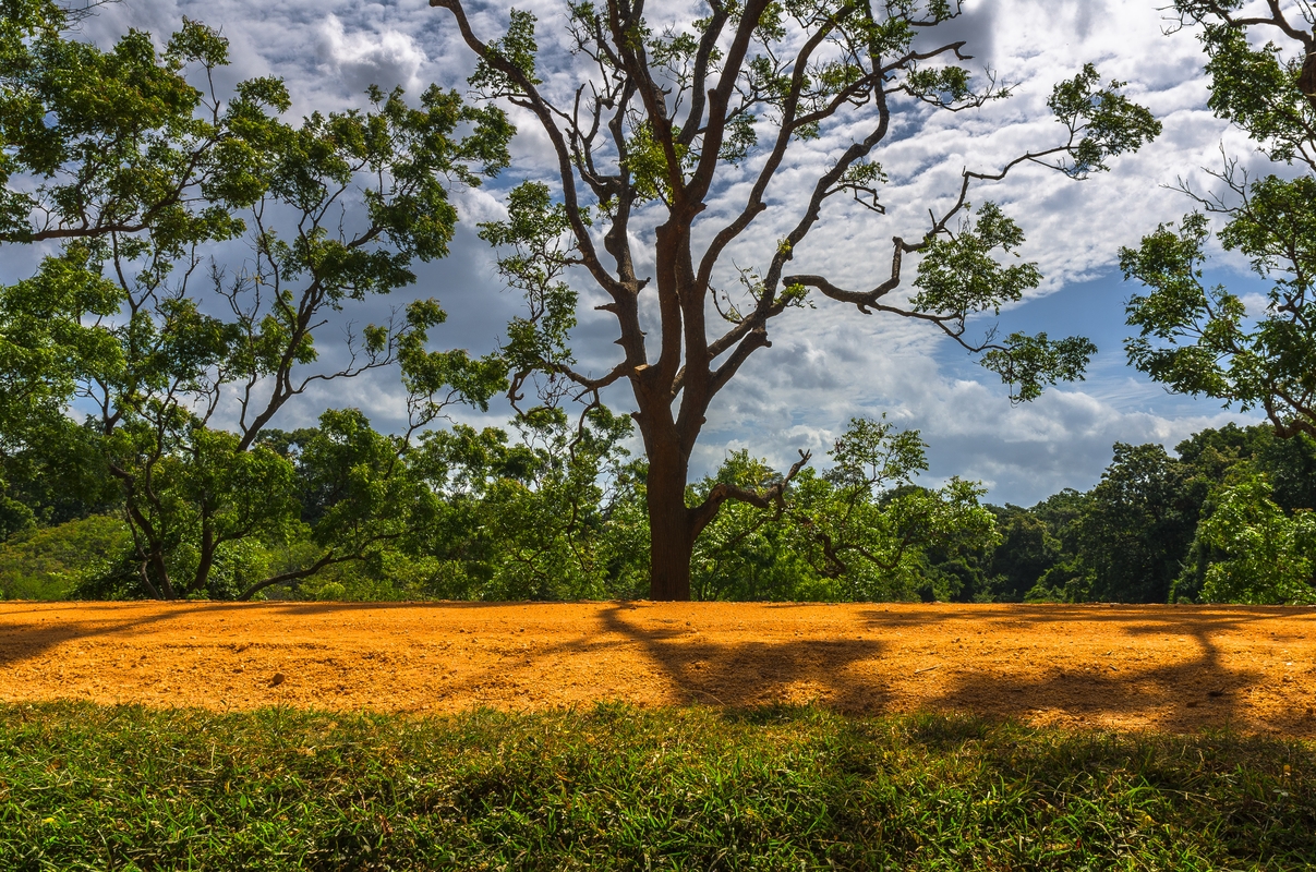 Sri Lanka nel colore