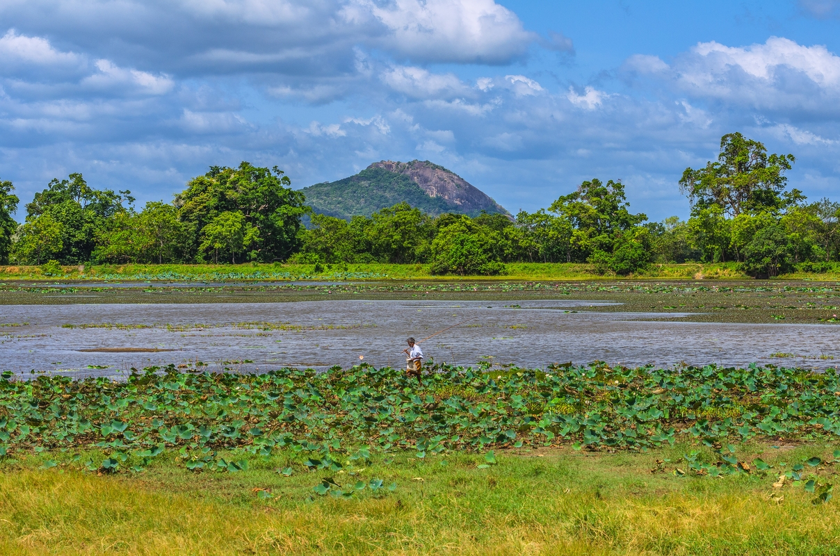 Sri Lanka - Fisherman