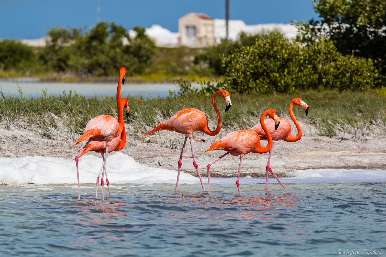 Passeggiando in riva