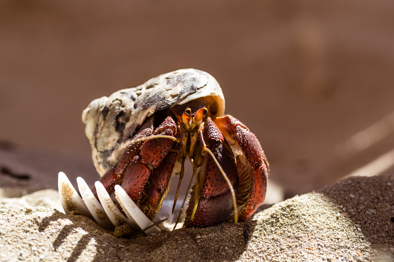 Piccolo.. ma neanche troppo!