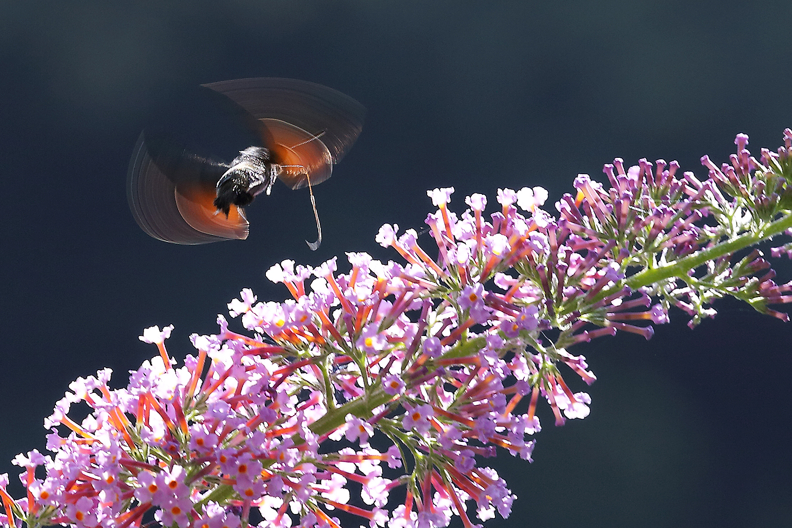 turbinio nell'aria!!!!!