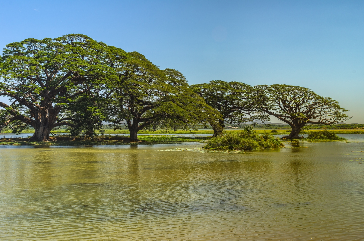 Sri Lanka - Tissamahara Lake