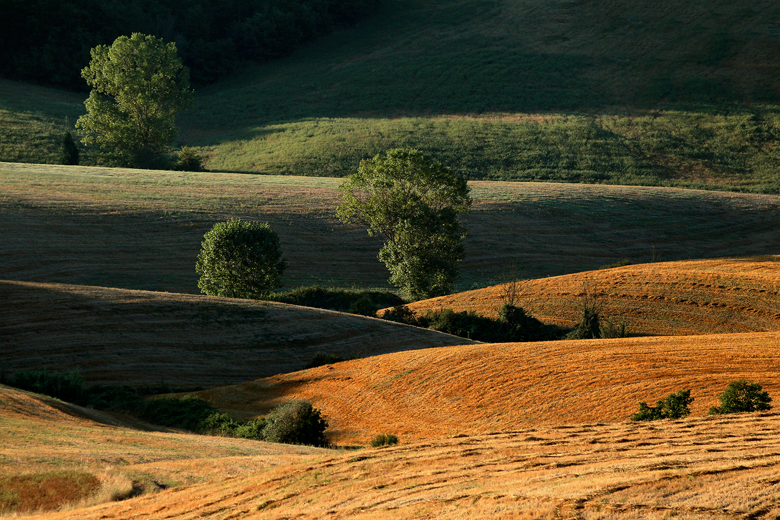 Terre di Siena - Contrasts