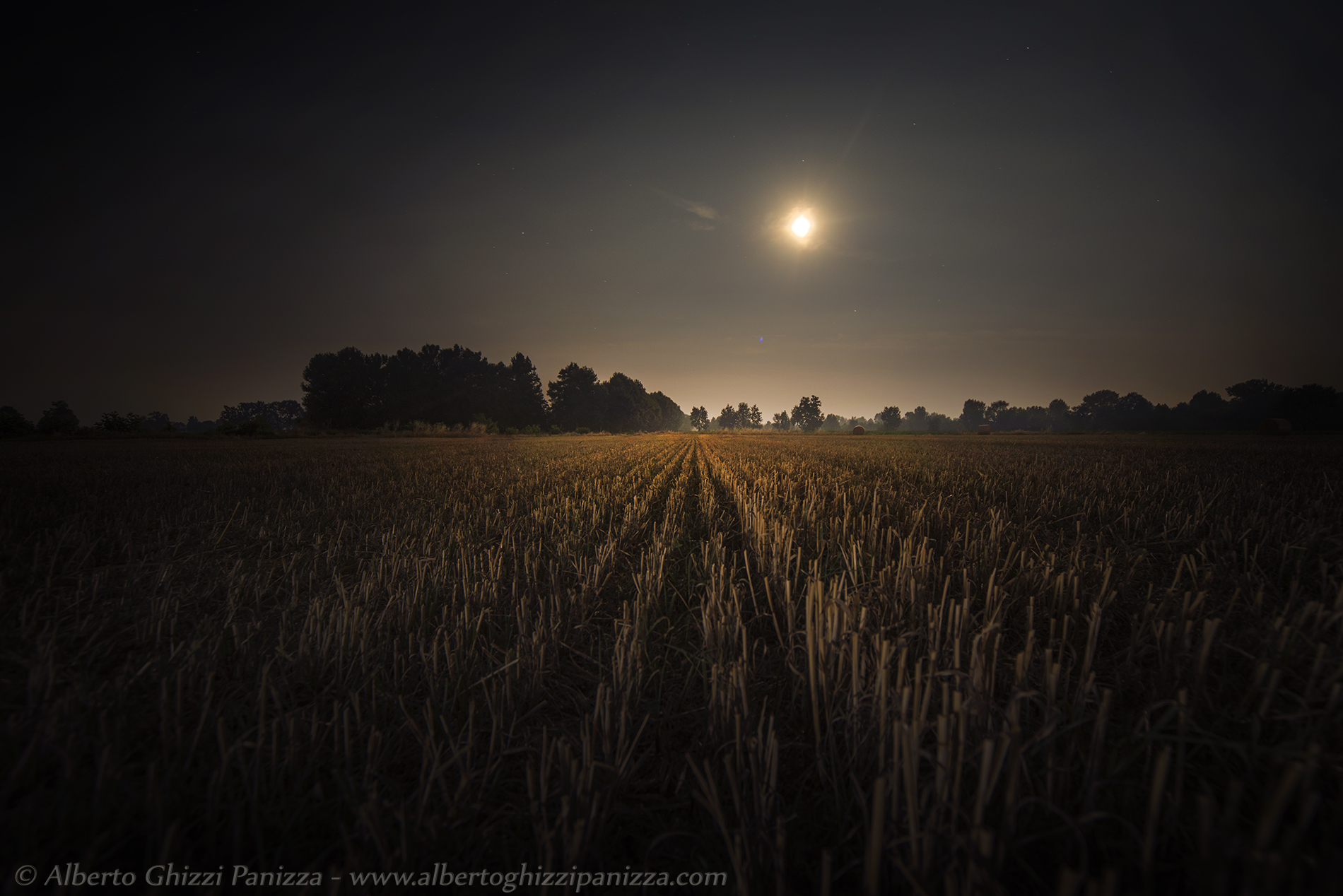 The rest of the fields