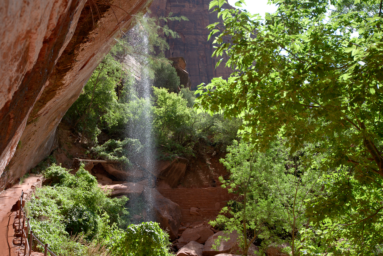 Zion vision