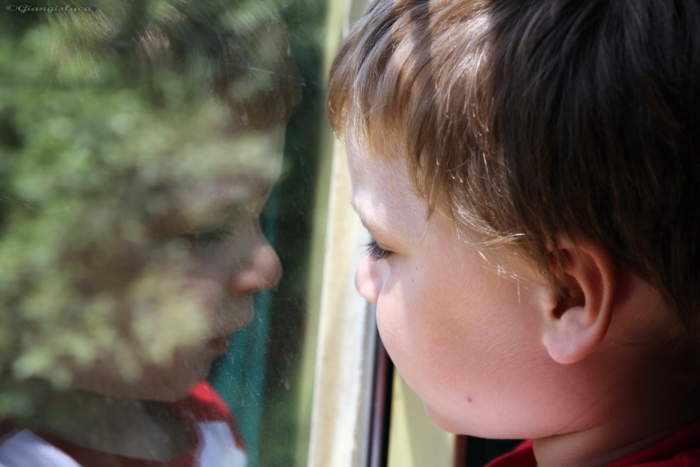 Riflessi dal Treno Verde