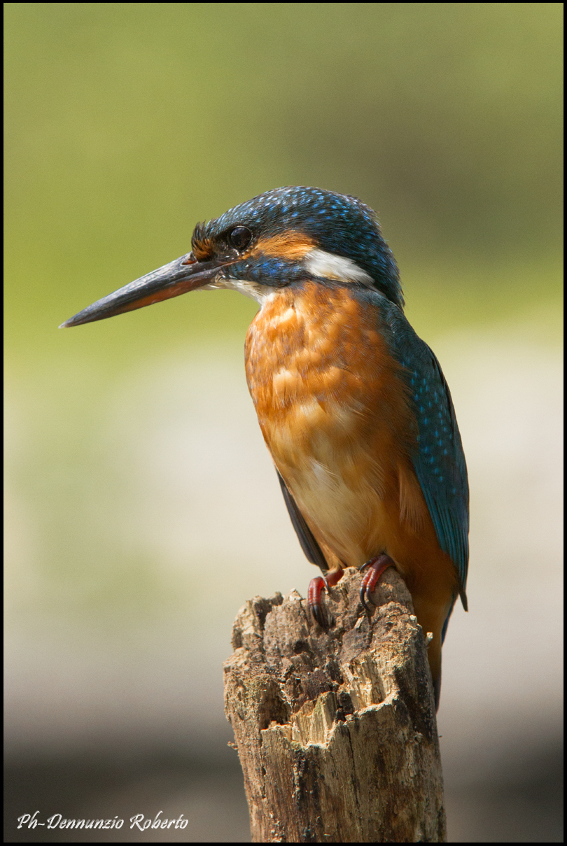 Tina e la lap dance!