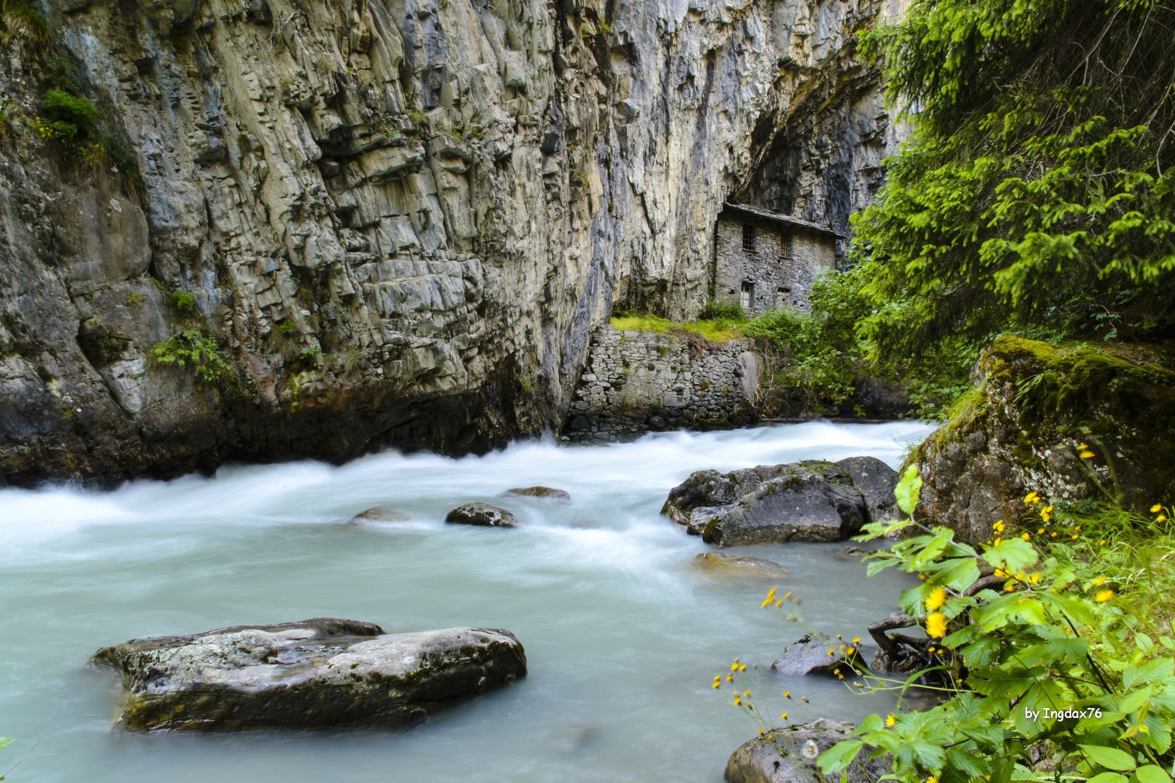 Pré-Saint-Didier horrid 1