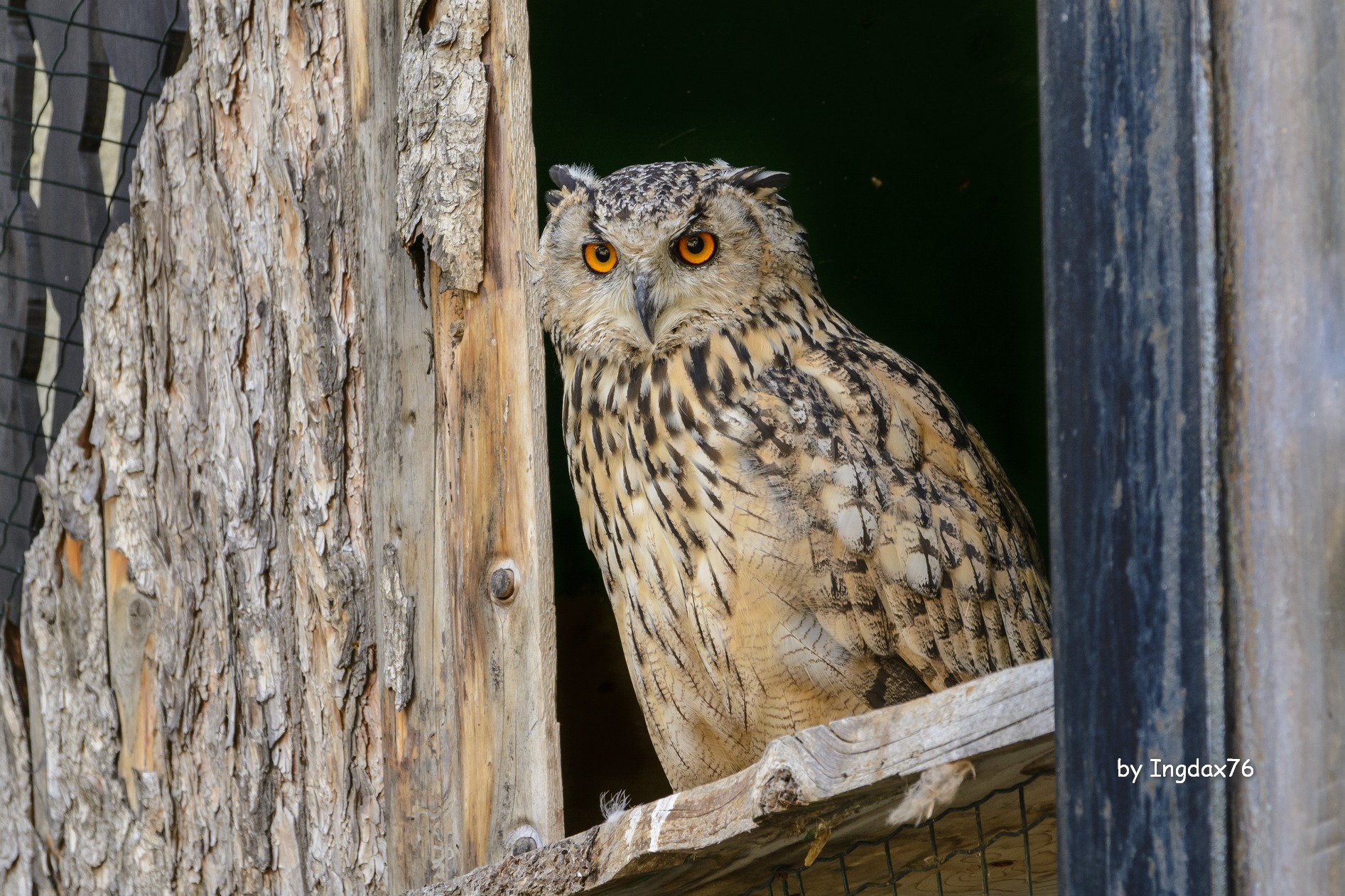 If you like me are so!!