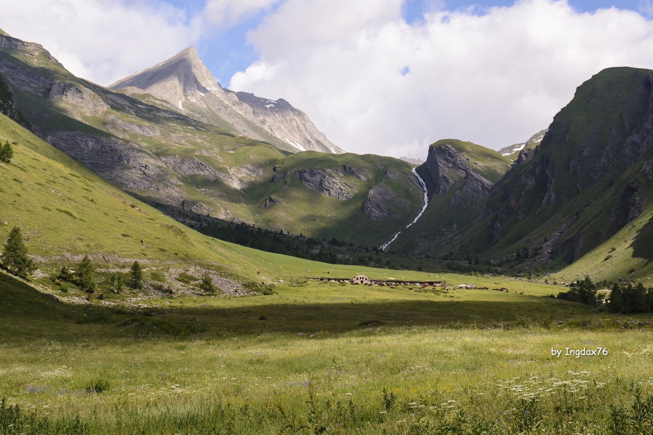 Planavall, grazing on the high seas