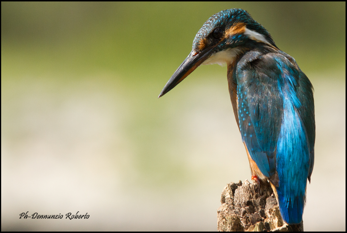 pensi che non ti vedo??