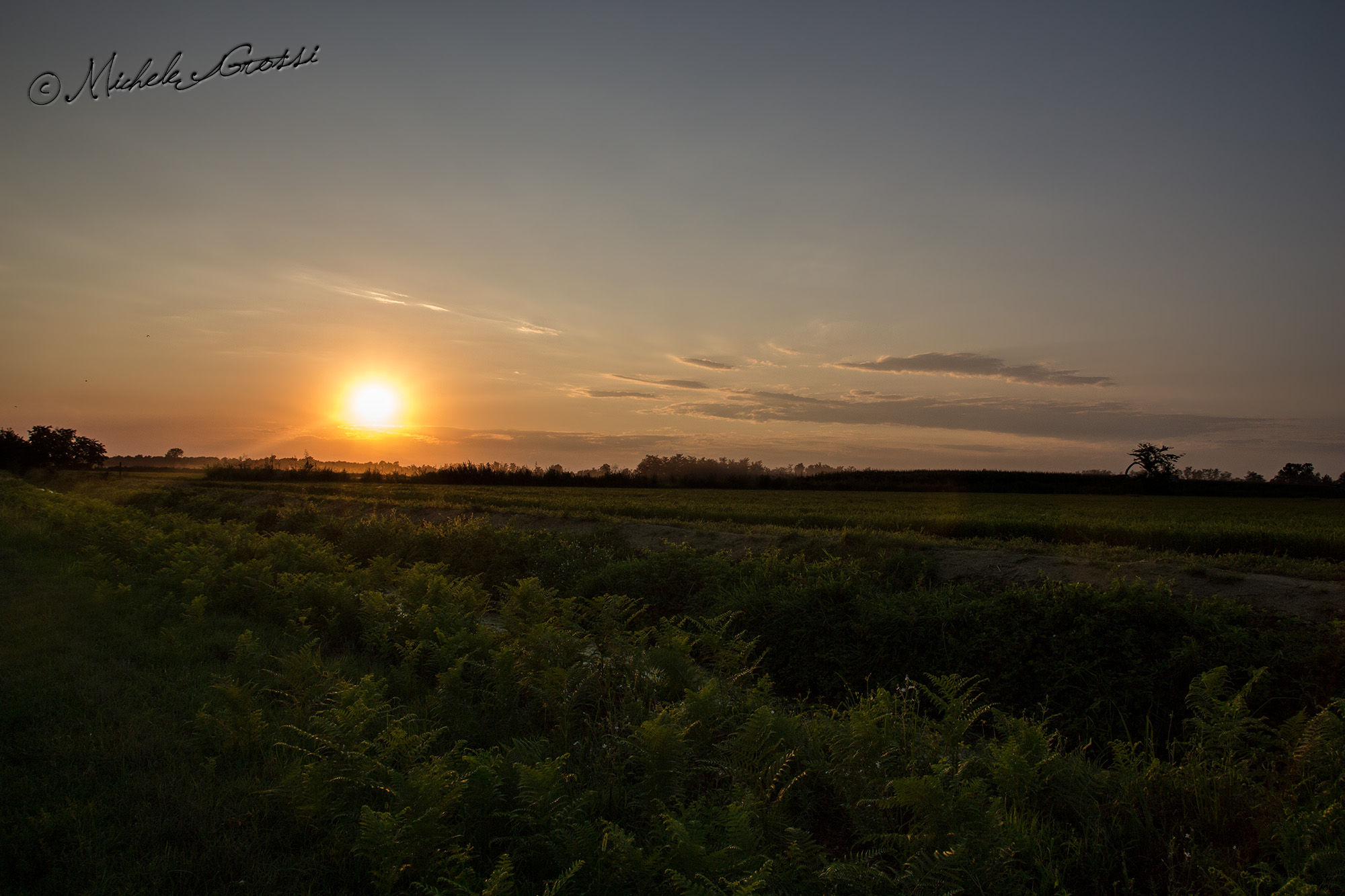 Lomellina ... Part Two