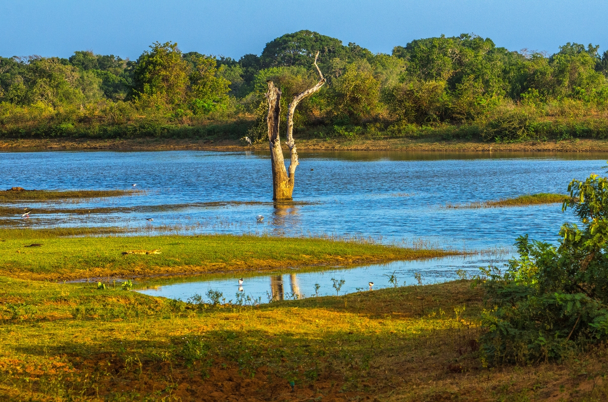 Sri Lanka - Last light on Yala National Park