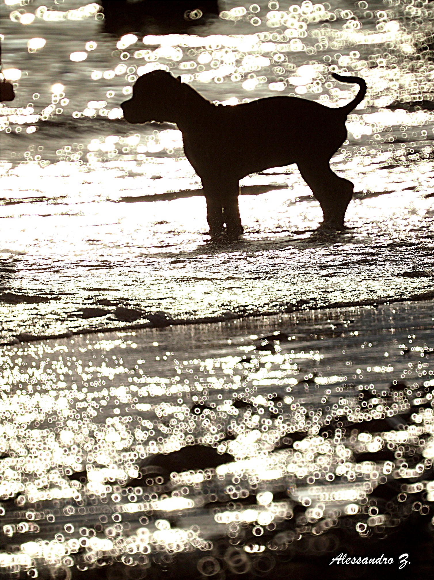 Mi butto o non mi butto?